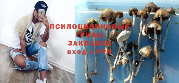 соль ск Заволжск
