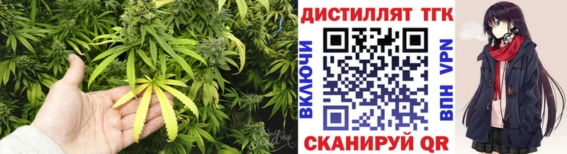 закладки  Судак  Дистиллят ТГК вейп с тгк 