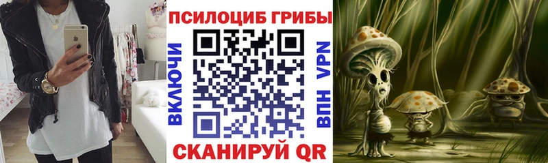 кракен ссылки  сколько стоит  Судак  Галлюциногенные грибы ЛСД 